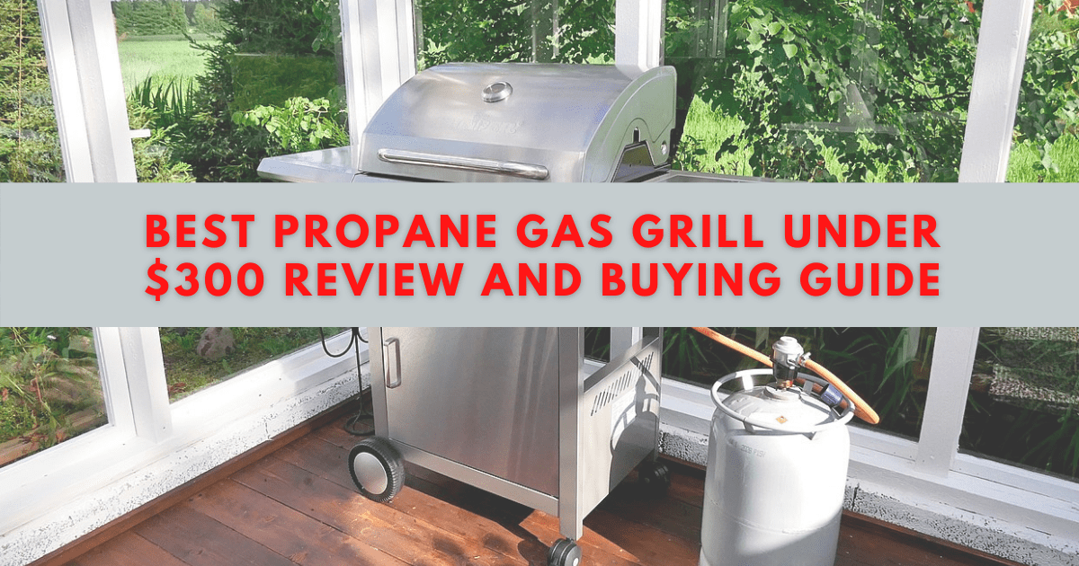 Best Propane Gas Grill Under $300